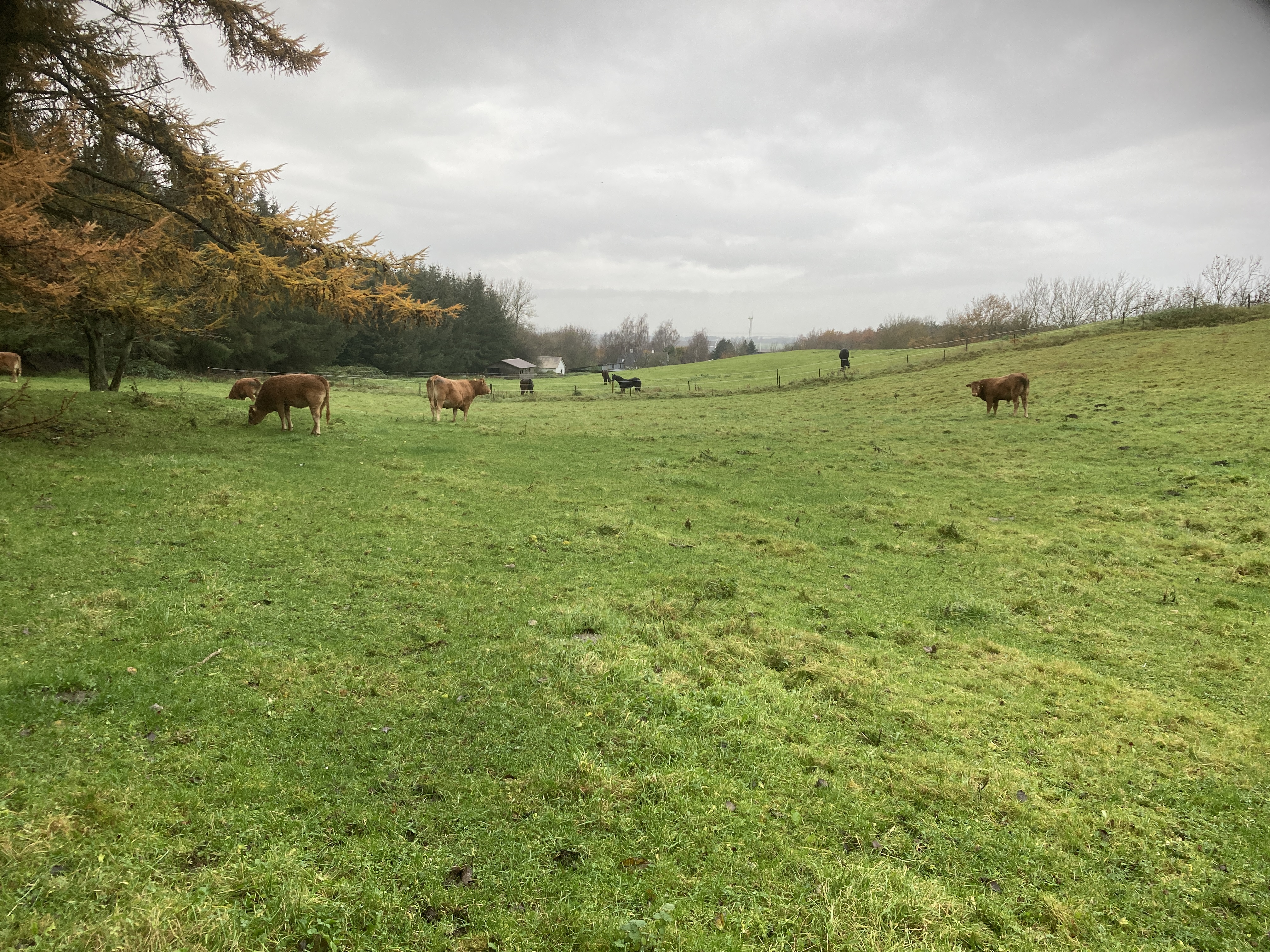Vejledning om tolkning af dyrkningsdeklarationer